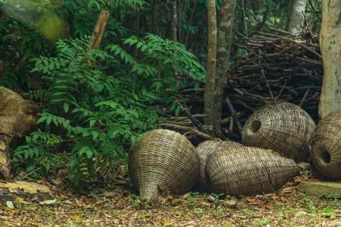 Whicker baskets in the jungle Stock Photos