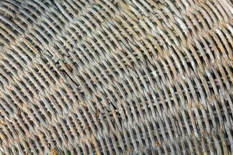 Whicker pattern close up in a fan like pattern. Stock Photos