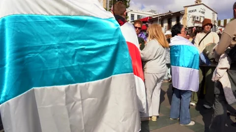 While blue white flag in Meeting To Support Peace In Ukraine Stock-Footage 234089553