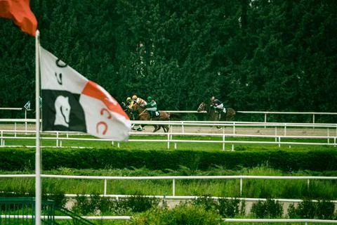 While horses race at the hippodrome. Stock Photos