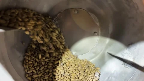 While Pistachios Roast in the Roasting Machine Stock Footage 311581777