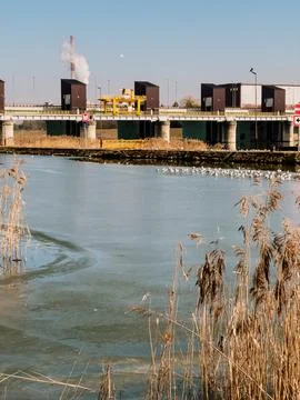 While smoke rises behind, visual clash of industry and wildlife, clash between Stock Photos