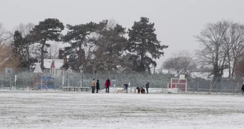 While snowing heavily a group of dog walkers gather park with their dogs Stock Footage 148281619