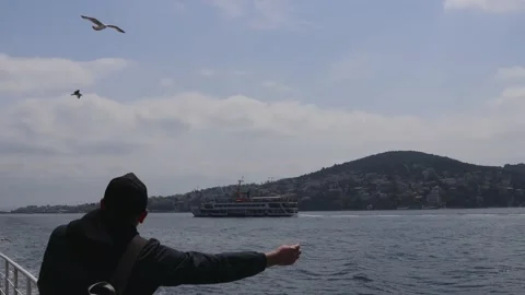 While traveling by ferry in the Bosphorus, the man feeds the seagulls with bagel Stock-Footage 188829593