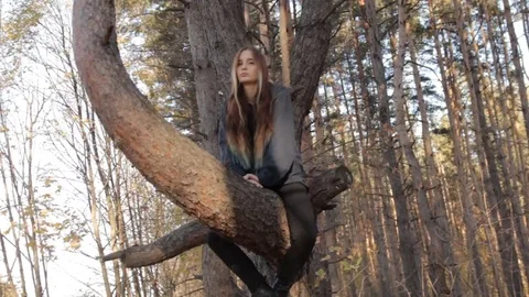 While on the tree, a girl smiles and wags her head in different sides to have Stock Footage 69210382