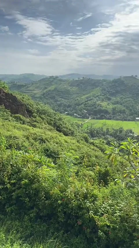 While on vacation in a villa with views of green trees mountains and blue sea 動画素材 244087755