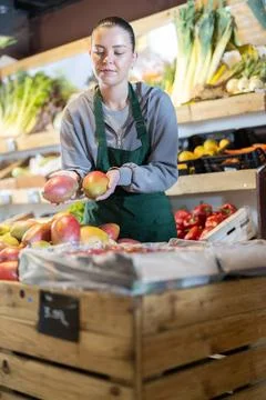 While working in supermarket, employee forms display case, puts ripe mango in Stock Photos