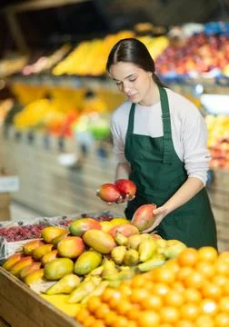 While working in supermarket, employee forms display case, puts ripe mango in Stock Photos