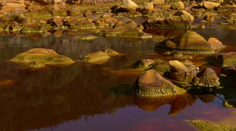 Whims of Nature Stock Footage 48943403