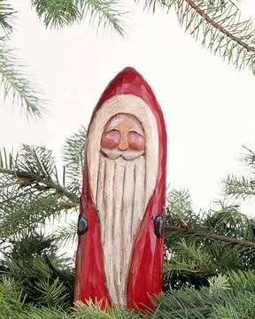 Whimsical Beard of Grass: A Creative Botany Art Display Featuring Evergreen.. Stock Photos