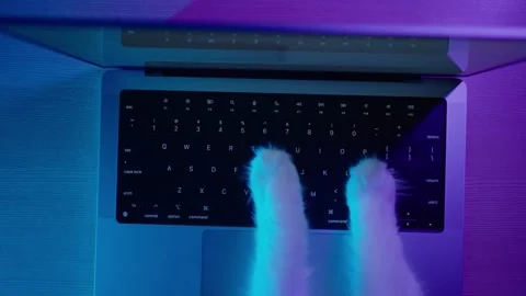 Whimsical close-up of cat paws typing on a laptop keyboard, illuminated by a Stock Footage 263147678