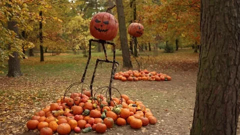 A whimsical Halloween display featuring a tall, skeletal figure with a carved pu Stock Footage 289655623