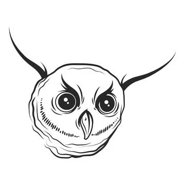 Whimsical Hand-Drawn Owl Face with Big Expressive Eyes and Pointed Ears Ilustração Stock