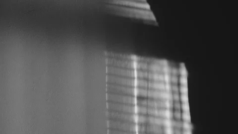 Whimsical Light Play Stock Footage 284155606