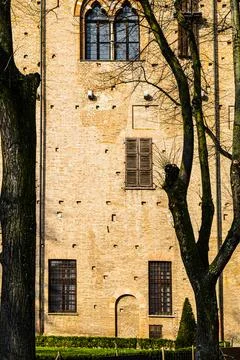 Whimsical shade of trees Fotos Stock