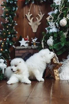 Whimsical Winter Joy Foto stock