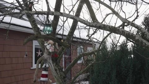 Whimsical Winter Tree Decorations Against Cozy House Backdrop Video stock 271198575