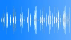 Whinchat. BirdsongSound Effect
