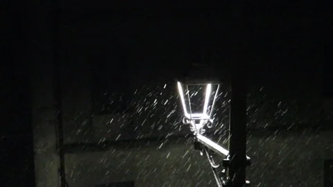 Whinter snow Stock Footage 95530811