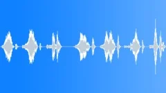 Whip-Poor-WillSound Effect