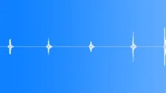 WHIP Sound Effect