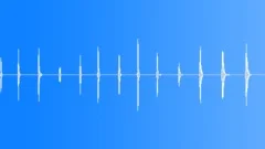 WHIPSound Effect