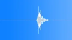 Whip swoosh 013 Sound Effect