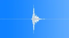 Whip swoosh 014 Sound Effect