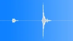 Whip swoosh 019 Sound Effect