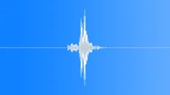 Whip swoosh 028 Sound Effect