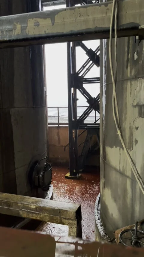 Whips Stock Footage 248489119