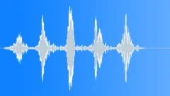 WhipWhooshMulti S011FO.982 Sound Effect