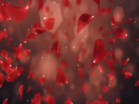 Whirl Flying Romantic Dark Red Rose Flower Petals Background Loop 4k Stock Footage 71496261