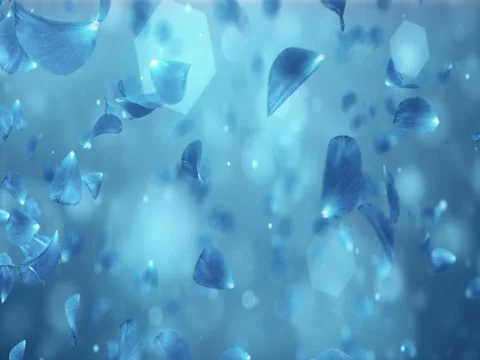 Whirl Flying Romantic Light Blue Rose Flower Petals Background Loop 4k Video stock 71417360