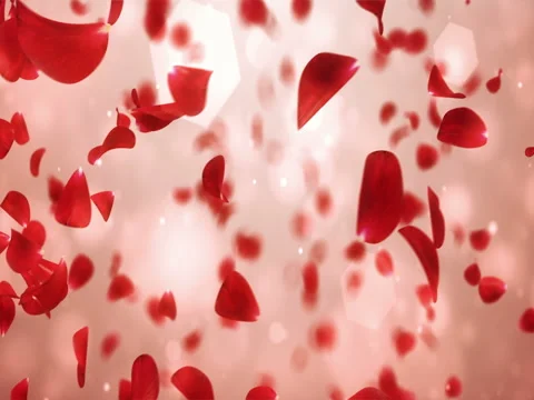 Whirl Flying Romantic Light Red Rose Flower Petals Background Loop 4k Stock Footage 71429140