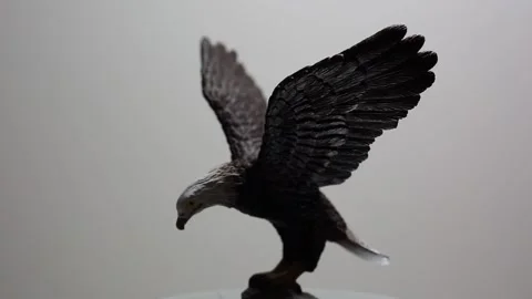 Whirling black eagle statue Stock Footage 143574269