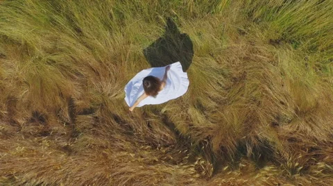 Whirling in the grass Stock Footage 51363304