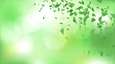 Whirling Green Leaf -Bokeh background Stock Footage 63812134