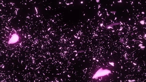 Whirling petals on a black background Stock Footage 236741091