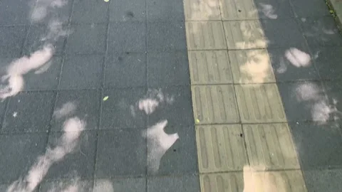 Whirling trees, speckled Stock Footage 232082571