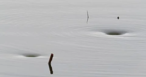 A whirlpool caused by water draining out of a pool at Leighton Moss, Silverda Stock Footage 286415439