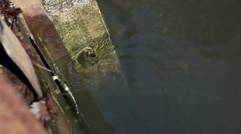 Whirlpool Stock Footage 650250