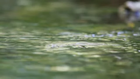 Whirlpool 動画素材 11227043