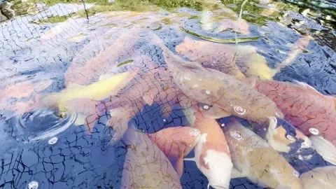 A whirlpool of inspiration Stock Footage 303701872