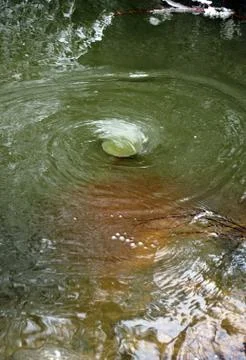 Whirlpool Stock Photos