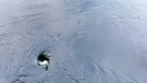 Whirlpool in the pond Stock Footage 250280359