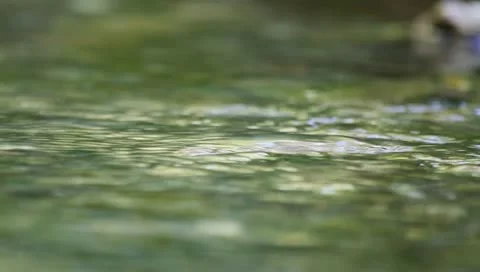 Whirlpool on river Video stock 11226939