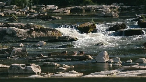 WHIRLPOOL ON THE RIVER Vidéo 84168361