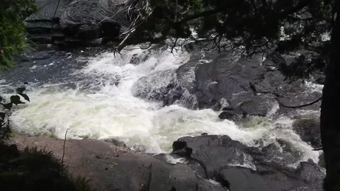 Whirlpool in a River A Natural Water Feature Vidéo 348528126