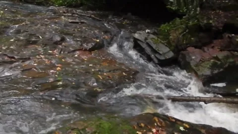 Whirlpool of a Stream Natures Force in Action Stockbeeldmateriaal 348528180